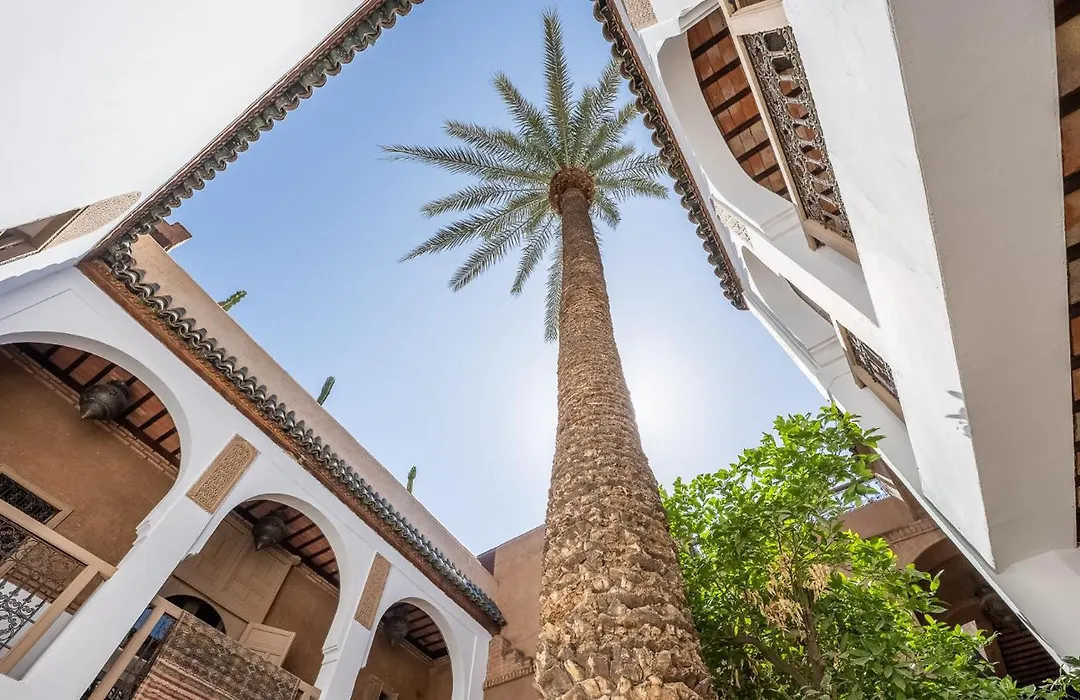 Riad Maison Palmier (Adults Only)-1