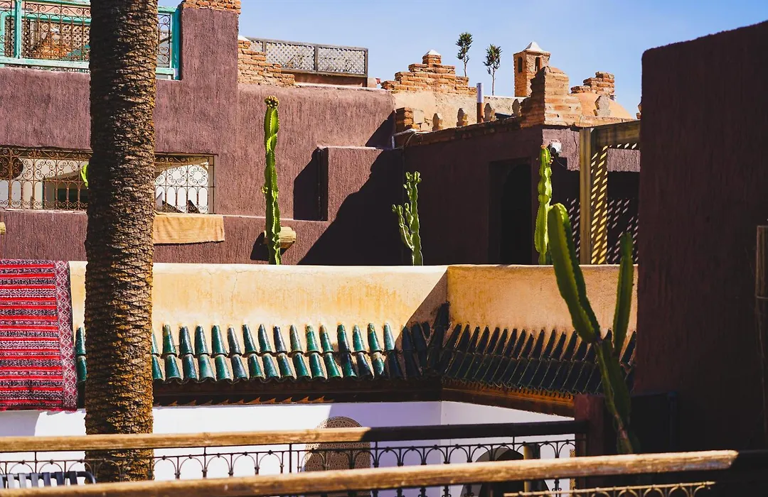 Riad Maison Palmier-1