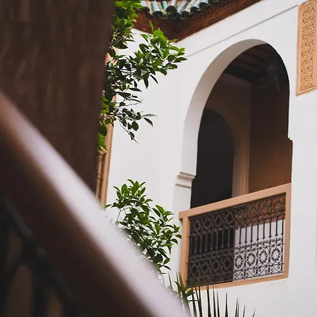 Riad Maison Palmier-3