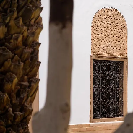 Riad Maison Palmier (Adults Only)-2