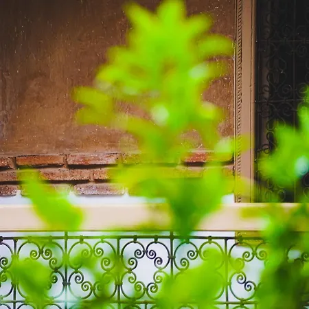 Riad Maison Palmier-2